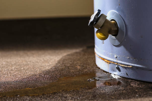 Best Carpet water damage restoration  in Greenville, FL