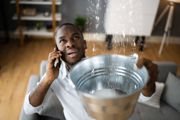 Best Flood restoration services  in Greenville, FL