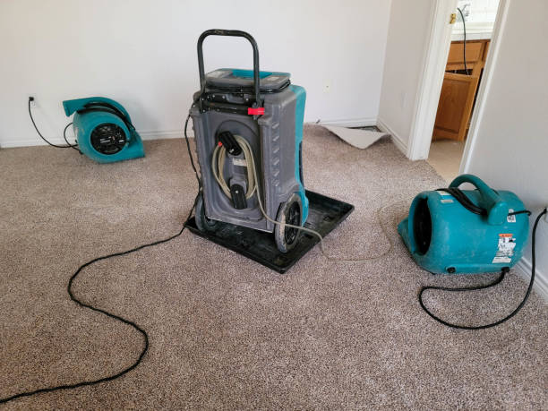 Best Flooded house restoration  in Greenville, FL