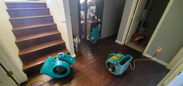 Best 24/7 water damage repair  in Greenville, FL