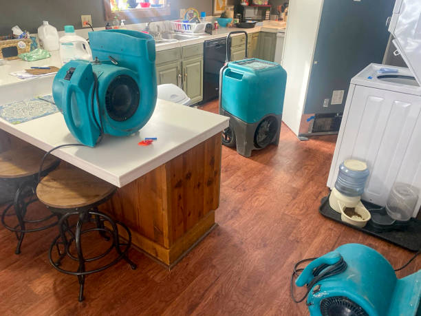 Best Basement water damage restoration  in Greenville, FL