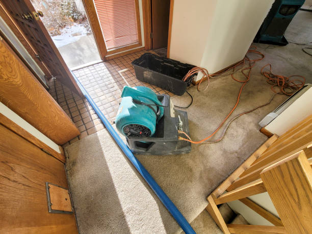 Best Carpet water damage restoration  in Greenville, FL
