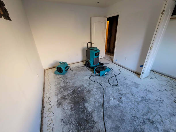 Best Water damage cleanup near me  in Greenville, FL