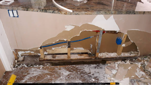 Best Water damage restoration near me  in Greenville, FL