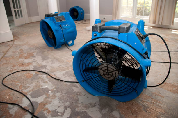 Professional Water damage restoration in FL