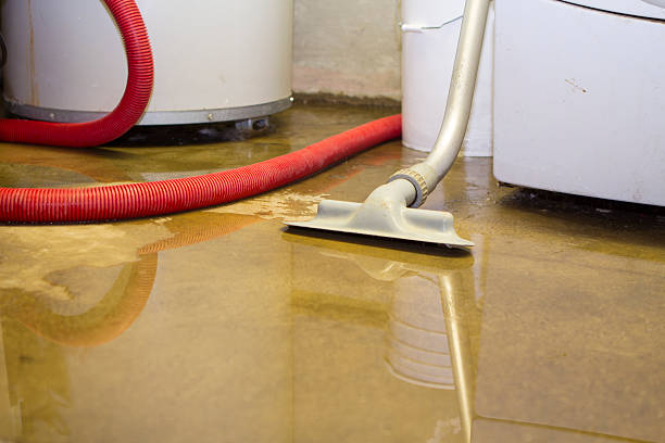  Greenville, FL Water damage restoration Pros