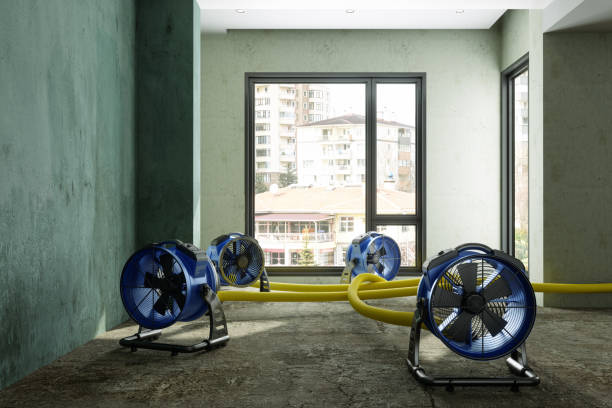 Best Water damage restoration company  in Greenville, FL
