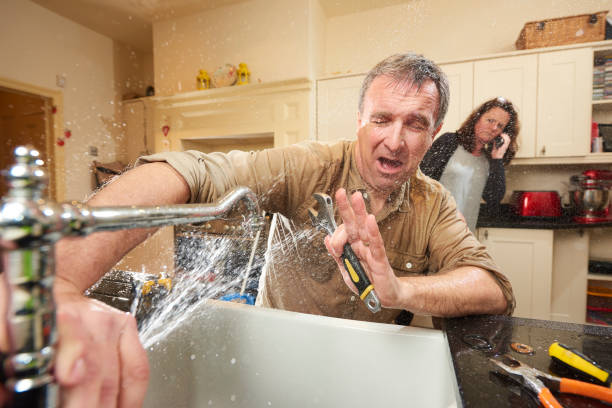 Best Sewage cleanup and water damage restoration  in Greenville, FL